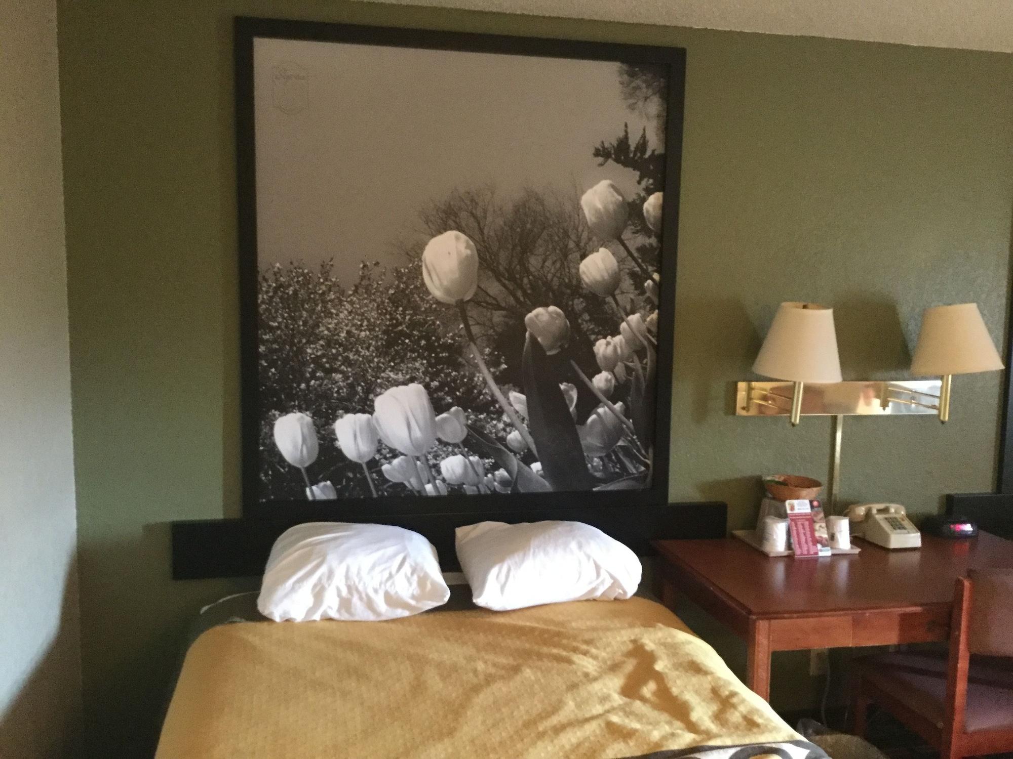 Super 8 By Wyndham Youngstown/Austintown Εξωτερικό φωτογραφία